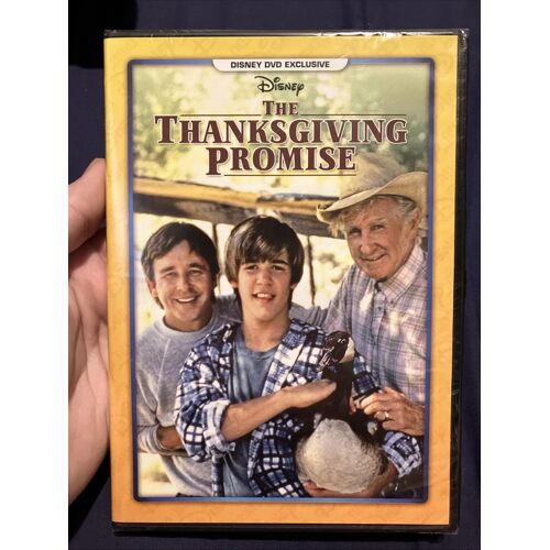 Dvd The Thanksgiving Promise (2019)