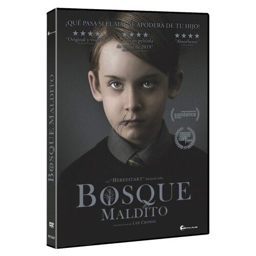 Bosque Maldito Dvd
