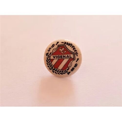 Pins Villes Vigenal 87 Haute Vienne Blason Armoiries Porcelaine 1954.1984