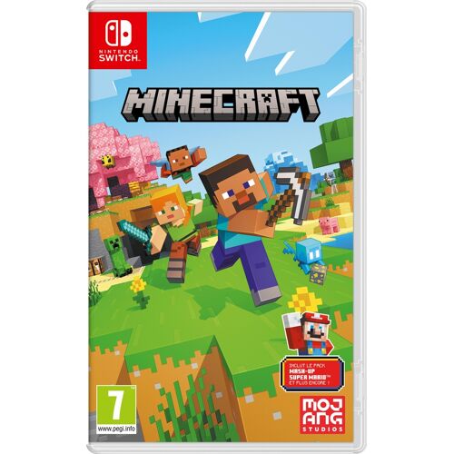 Minecraft Switch