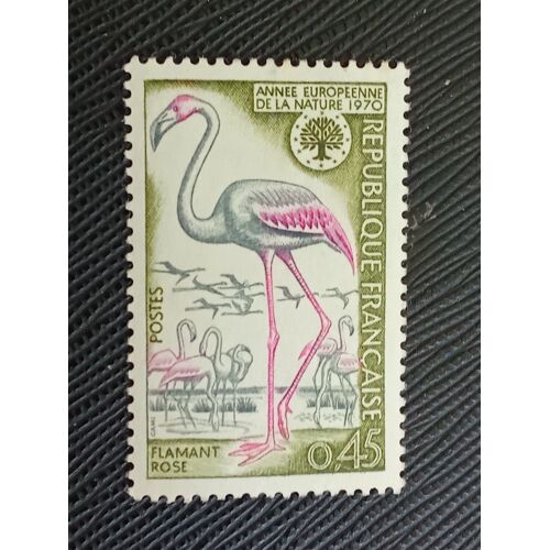 Timbre France Y T 1634 Flamant Rose (Phoenicopterus Ruber Roseus) 1970 ( 100809 )
