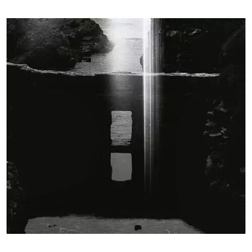 Vulpus – Certitude