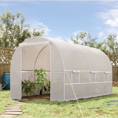Serre Tunnel De Jardin 8m²