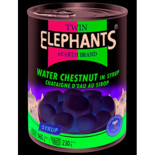 Twin Elephants Châtaignes D¿Eau En Sirop - 565 G