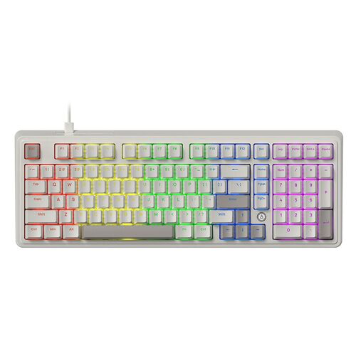 AJAZZ AK980 Clavier mécanique filaire à 98 %, Disposition QWERTY US, Montage sur cales, Rétroéclairage arc-en-ciel - Prise en charge du remplacement à chaud - Blanc & Gris