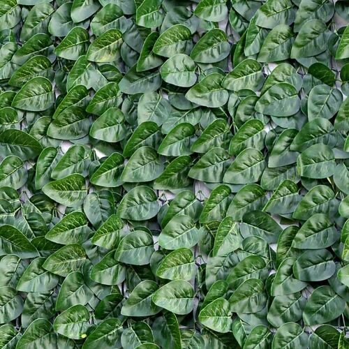 TENAX Divy Laurus Pro Haie synthétique verte - 150 x 300 cm