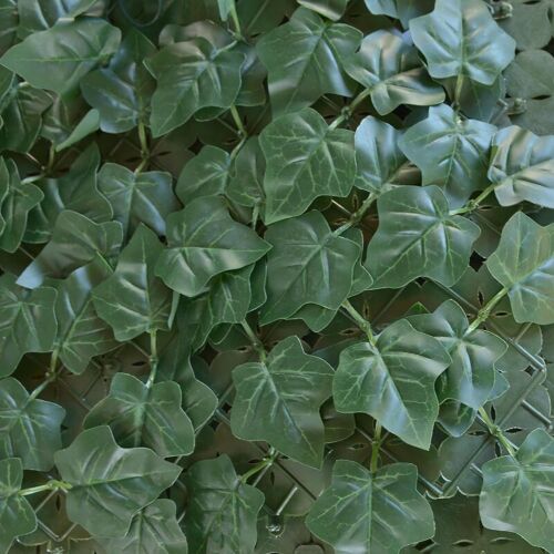 TENAX Divy Hedera Plus Haie artificielle verte de lierre - 150 x 300 cm