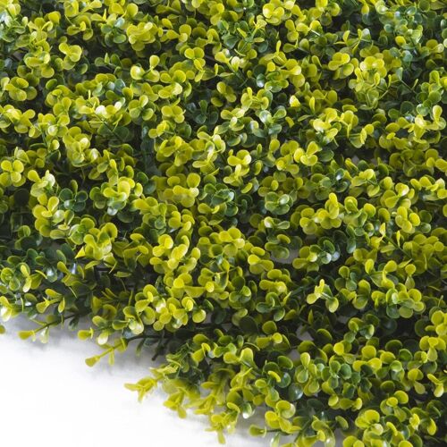 TENAX Divy Panel Buxus Panneau modulaire avec feuilles en polyéthylène type buis, vert clair - 0,5 x 1 m