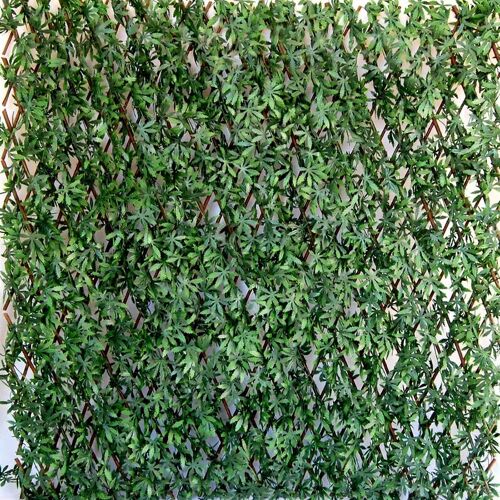 TENAX Divy 3D X-Tens Haie artificielle d'érable du Japon vert - 1 x 2 m