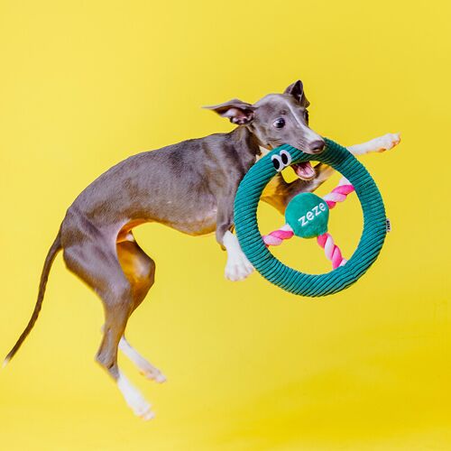 Zeze Jouet À Mâcher Avec Effets Sonores En Forme De Volant Vert Foncé Pour Chiens - 23 X 23 X 3,5 Cm