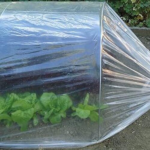 Tenax Dot Film De Serre Micro-Perforé - 2 X 10 M