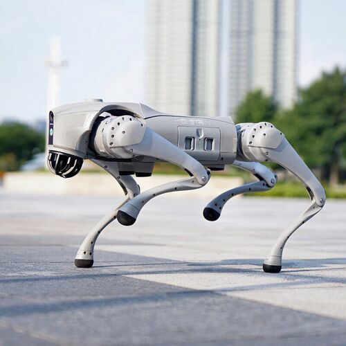 Unitree Go2 Pro Chien robot - Blanc