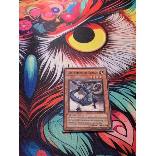 Garde Royal Du Dragon