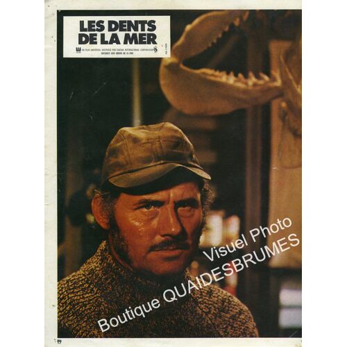 Les Dents De La Mer (Jaws) : Photo D'Exploitation Cinématographique - Format 23,5x29,5 Cm - De Steven Spielberg Avec Roy Scheider, Robert Shaw, Richard Dreyfuss, Lorraine Gary - 1975