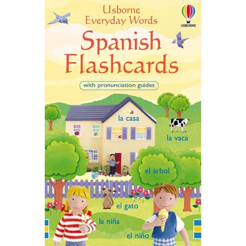 Everyday Words In Spanish Flashcards Livre