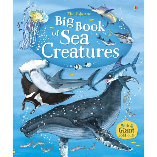 Big Book Of Sea Creatures Livre
