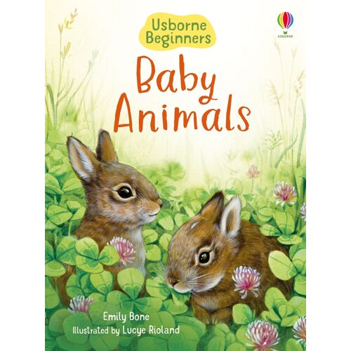 Baby Animals Livre