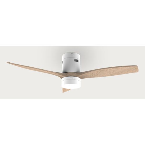 EVVO V551 Bois, Blanc