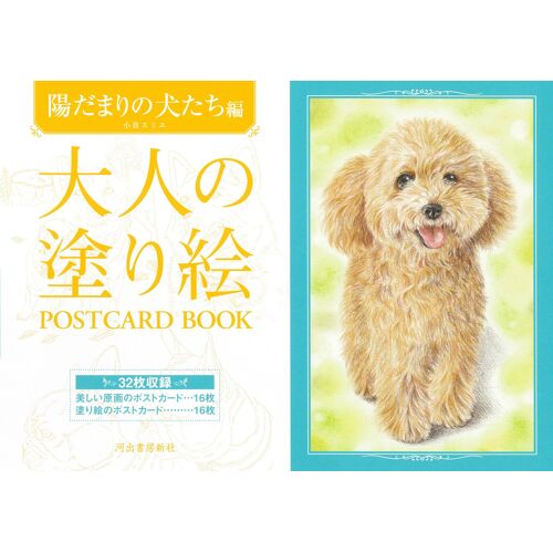 Postcard Book