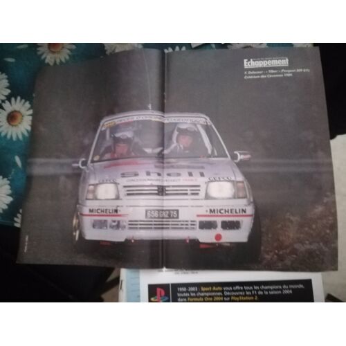 Poster Delecour Tilber Peugeot 309 Gti Cevennes 1989