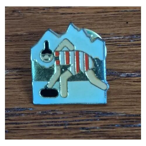 Pin'S Kodak