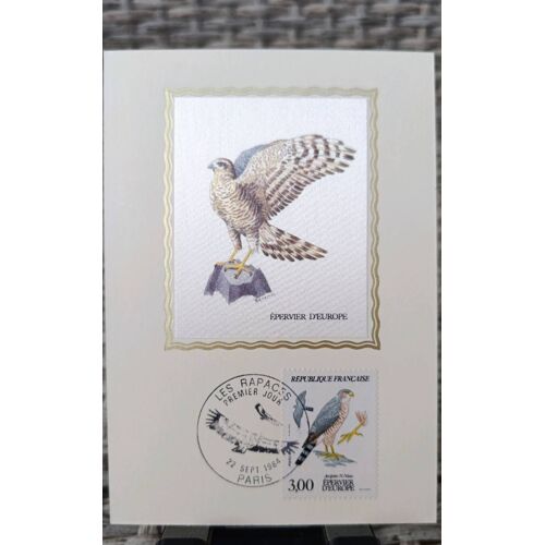 Timbre Épervier D'Europe Accipiter N. Nisus - Les Rapaces. Fdc Carte Premier Jour 22/09/1984. Yt N°2339
