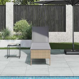 Vidaxl Transat Avec Coussin Beige 55x200x44cm Résine Tressée