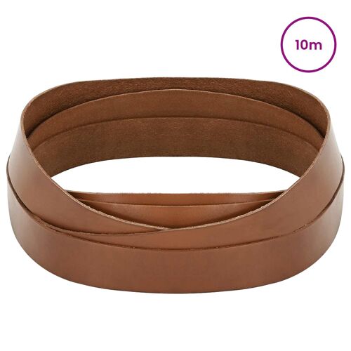 Vidaxl Sangle En Cuir Marron 1000 X 3 Cm Cuir