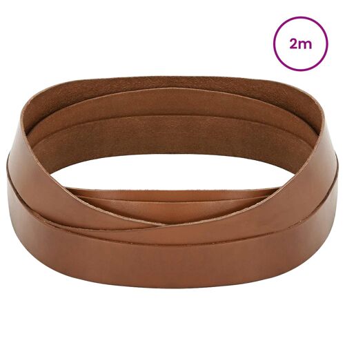 Vidaxl Sangle En Cuir Marron 200 X 4 Cm Cuir
