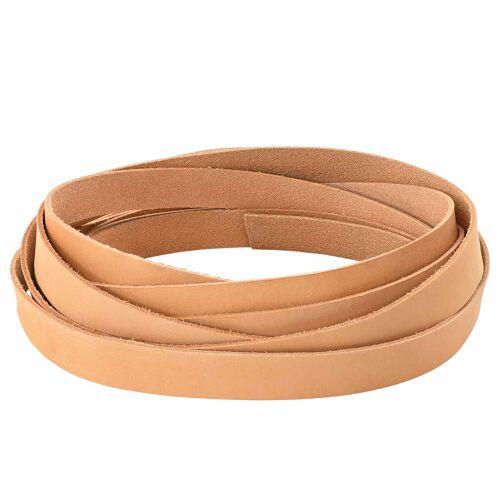 Vidaxl Sangle En Cuir Marron Clair 200 X 1 Cm Cuir