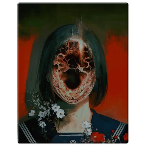 Steelbook Silent Hill F