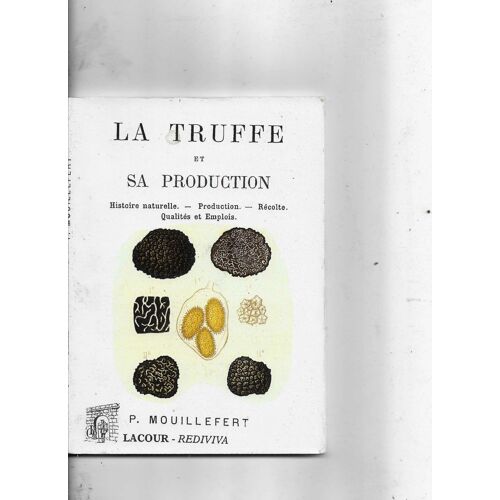 La Truffe Et Sa Production Histoire Naturelle Production Récolte Qualités Et Emplois P Mouillefert