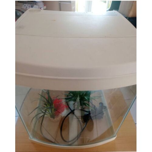 Aquarium 32 L Avec Décoration Avec Filtre