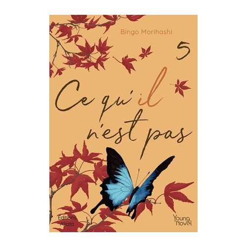 Ce Qu'il N'est Pas - Tome 5