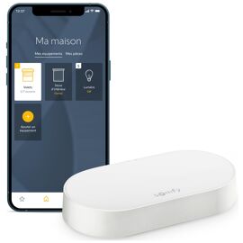 Kit de connectivité - Pilotez les moteurs et l'éclairage SOMFY par smartphone - Compatible moteurs io & RTS - Contrôle à la voix via l'Assistant Google, Amazon Alexa, HomeKit