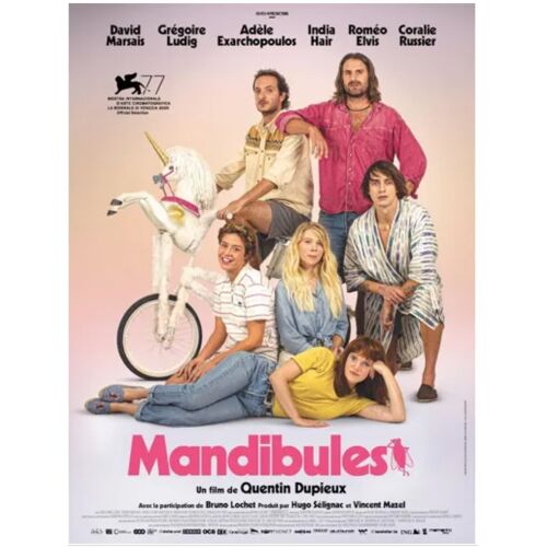 Mandibules - Véritable Affiche De Cinéma Pliée - Format 40x60 Cm - De Quentin Dupieux Avec David Marsais, Grégoire Ludig, Adèle Exarchopoulos, Indian Hair - 2020