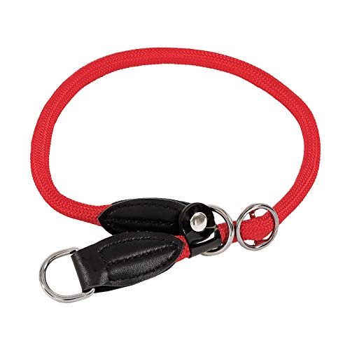 Dibea Collier Pour Chien Collier Retriever Collier De Dressage 45 Cm 1 Cm Rouge