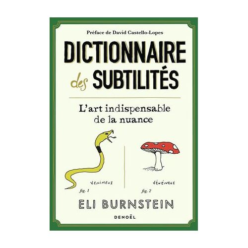 Dictionnaire Des Subtilités. L'art Indispensable De La Nuance