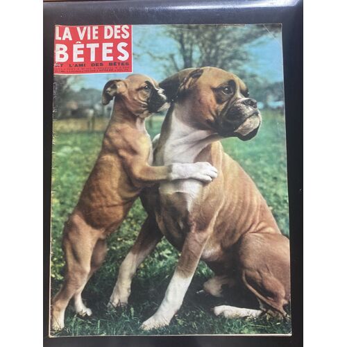 La Vie Des Bêtes 102