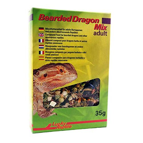 Lucky Reptile Pogona Mix