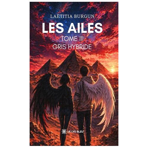 Les Ailes - Tome 3