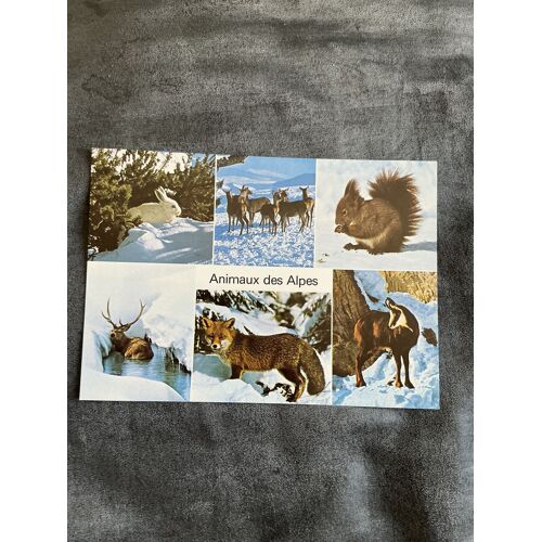 Carte Postale, Vintage, Animaux Des Alpes