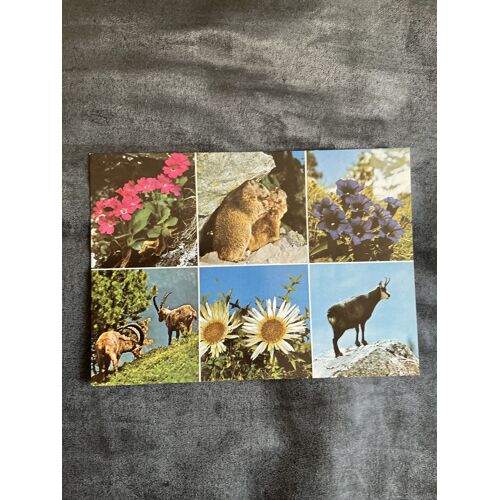 Carte Postale, Vintage, Flore Et Faune De Nos Montagnes