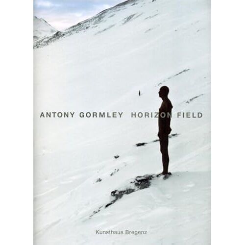 Antony Gormley: Horizon Field