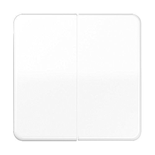 JUNG Bascule série CD595BFWW blanc alpin, Bouton + interrupteur, Blanc