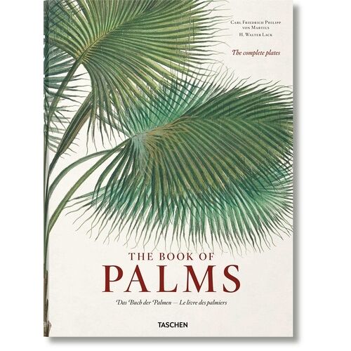 The Book Of Palms