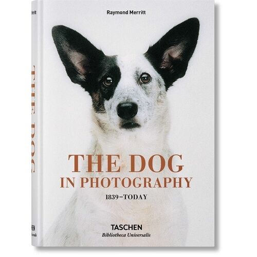 The Dog In Photography - 1839-Today