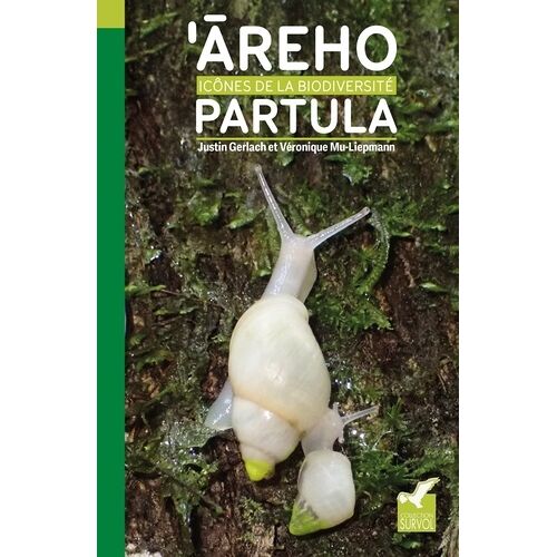 'areho Partula - Icônes De La Biodiversité