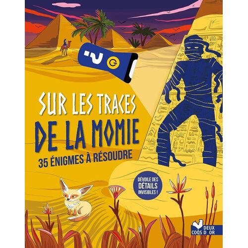 Sur Les Traces De La Momie - 35 Énigmes À Résoudre