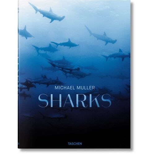 Michael Muller - Sharks